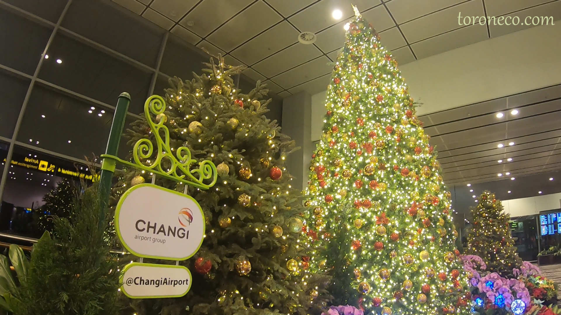 画像：マレ空港の大きなクリスマスツリー
